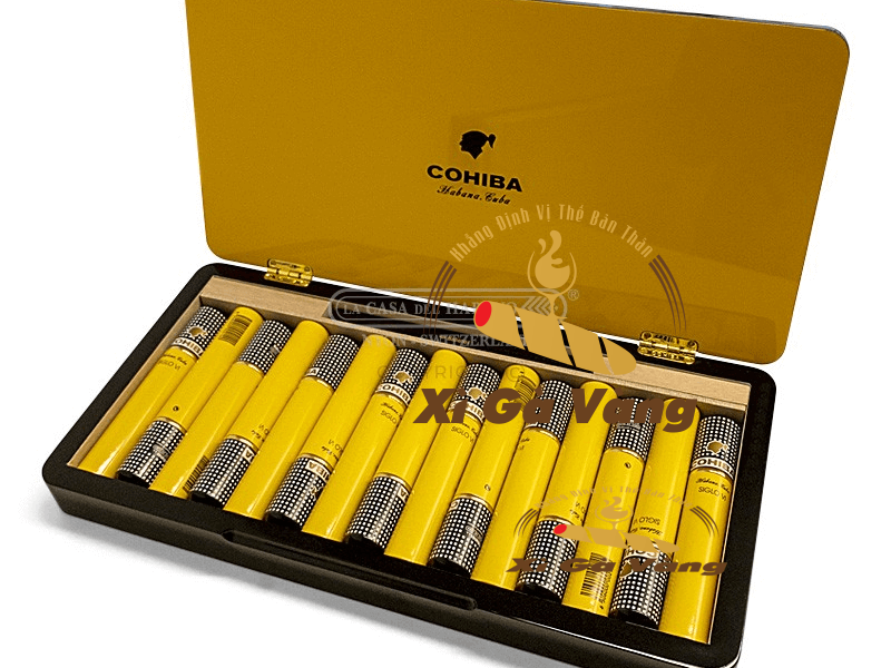 Hình ảnh xì gà Siglo 6 Cohiba trong hộp sơn mài